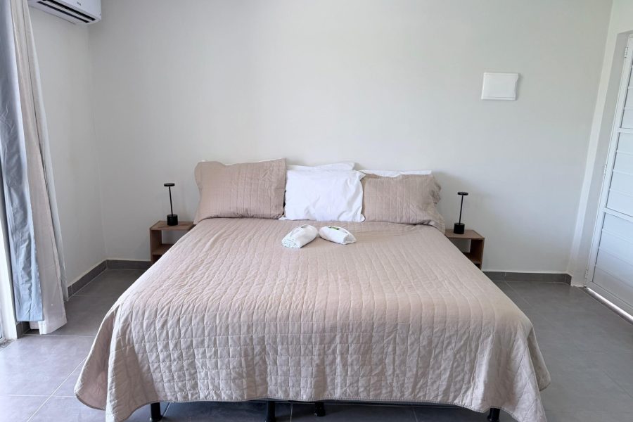 WhatsApp Image 2026-02-16 at 15.37.37